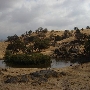 Yokohl Valley