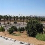 California Citrus State Historic Park (SHP)
