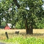 Western Placer County Roads