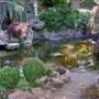 Japanese Tea Garden - San Mateo Central Park & Recreation Center