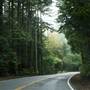 Skyline Boulevard - Highway 35