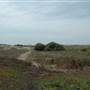 McGrath State Beach (SB)