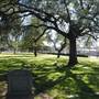 Mountain View Cemetery