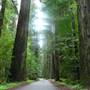 Mattole Road (2)