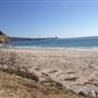 Blacks Beach and Scripps Institution of Oceanography Pier @ UC San Diego - UCSD