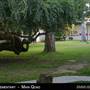 Grant Elementary School – Santa Monica-Malibu Unified School District - SMMUSD