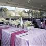 Pacific Hornblower @ Port of San Francisco - Hornblower Cruises & Events