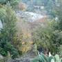 Laurel Canyon 360 View Hillside Land
