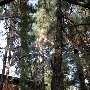 Camp Hollywoodland