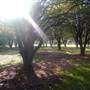 California State University, Northridge - CSUN (All Buildings & Facilities)