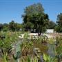California State University, Northridge - CSUN (All Buildings & Facilities)