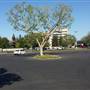 Bakersfield Plaza - Brixmor Property Group