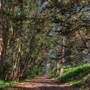 San Bruno Mountain State Park (SP)