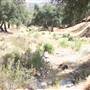 Bogart Regional Park