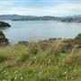 Angel Island State Park (SP)