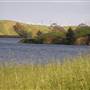 Bethany Reservoir State Recreation Area (SRA)