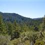 Butano State Park (SP)