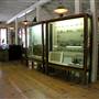 Columbia State Historic Park (SHP)