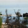 Folsom Lake State Recreation Area (SRA)