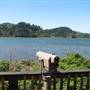 Humboldt Lagoons State Park (SP) / Big Lagoon, Stone Lagoon, Dry Lagoon & Freshwater Lagoon