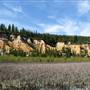 Malakoff Diggins State Historic Park (SHP)