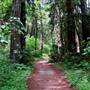 Bothe-Napa Valley State Park (SP)