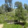 Henry W. Coe State Park (SP)