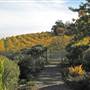 Jack London State Historic Park (SHP)