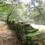 Olompali State Historic Park (SHP)