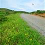 San Bruno Mountain State Park (SP)
