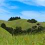 Mount Tamalpais State Park (SP)