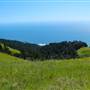 Mount Tamalpais State Park (SP)