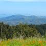 Mount Tamalpais State Park (SP)