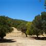 Olompali State Historic Park (SHP)