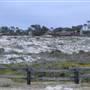 Asilomar State Beach and Conference Grounds