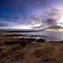 Asilomar State Beach and Conference Grounds