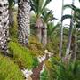 Cypress Sea Cove aka Mark Residence - Private