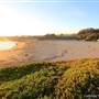 Natural Bridges State Beach (SB)
