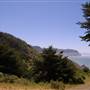 Sinkyone Wilderness State Park (SP)