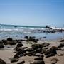El Pescador State Beach @ Robert H. Meyer Memorial State Beach (SB) - CFC