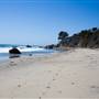 El Pescador State Beach @ Robert H. Meyer Memorial State Beach (SB) - CFC