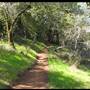 Trione-Annadel State Park (SP)