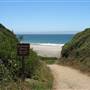 Año  Nuevo State Park (SP)