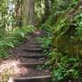 Big Basin Redwoods State Park (SP)