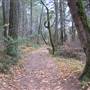 Bothe-Napa Valley State Park (SP)