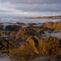 Asilomar State Beach and Conference Grounds
