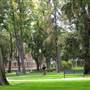 University of Southern California - USC