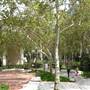 University of Southern California - USC