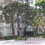 University of Southern California - USC