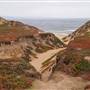 Fort Ord Dunes State Park (SP)